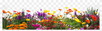 No sales tax!) pic hide this posting restore restore this posting. Better Earth Garden Centre Flower Garden Png Hd Clipart 502375 Pikpng