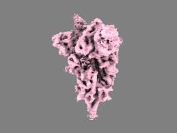 Utilizing two complementary sequencing techniques, we here present a. Trying To Stay Ahead Of Sars Cov 2 As Variants Emerge 2021 01 15 Bioworld