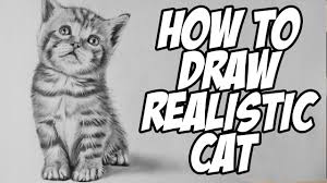 Tweet today's article is all about incredibly realistic pencil drawings of cute and adorable animals. How To Draw A Realistic Baby Kitten Drawing Animal Hair Youtube