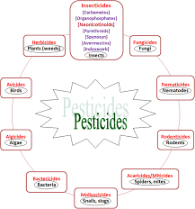 They eat the internal sections of a building's structural timbers. A Holistic Study Of Neonicotinoids Neuroactive Insecticides Properties Applications Occurrence And Analysis Springerlink
