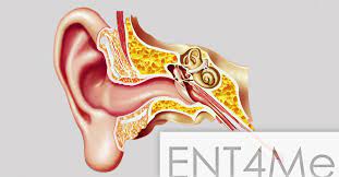And you probably don't even recognize why this works sometimes. Eustachian Tubes Pop It Like It S Hawt Mcgovern Medical School