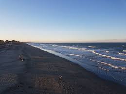 39, jalan bunga dahlia, taman masai in masai only in 92 m from the centre. Tiong Nam Logistics Office Photos Glassdoor