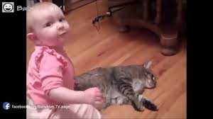 Sevimli Kedi Ve Komik Bebek Videolari 2017 Youtube