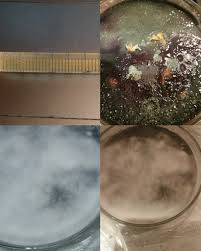 This is what resulted from my mycelium piss experiment. The first pic is a  syringe with the piss the second is a failure but I cleaned the agar with  iso and did