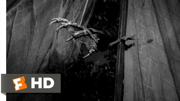 Creature from the Black Lagoon (3/10) Movie CLIP - The Creature Attacks  (1954) HD