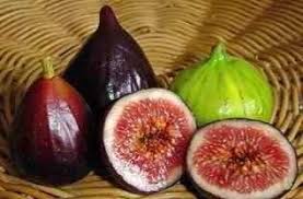 Tutorial lengkap tut pokok tin. Kind Of Rare Fruit Dua Jenis Buah Tin Steemkr