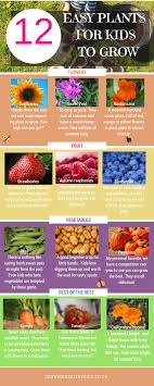 We would like to show you a description here but the site won't allow us. 12 Easy Plants For Kids To Grow Vegetables Fruit Flowers All Large Seeds And Easy Instructions What Could You Grow Together Today Children Love Sowing Seeds As They Are Literally Bringing A