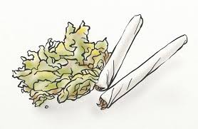 If you do not like how grey hair looks on you. Does Smoking Marijuana Cause Hair Loss Hairguard