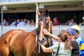 Maureen bombs away with breakthrough city winner :: Racing Queensland