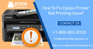 Firmware program compatible with your printer model. How To Fix Epson Printer Not Printing Issue 1 501 246 7157
