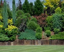 Skarpy W Ogrodzie Dailytips Pl Conifers Garden Garden Design Vegetable Garden Design