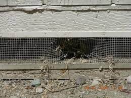 Pest exclusion materials and methods. Rodent Exclusion Proofing Adios Pest Control