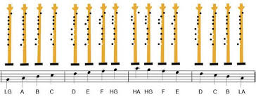 there are 9 notes on the bagpipes low g through high a the