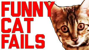 Add interesting content and earn coins. Funny Cat Fails Compilation July 2016 Failarmy Youtube