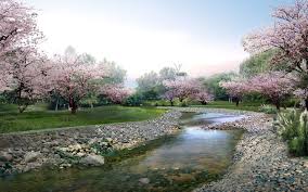 Feel free to send us your own wallpaper and we. Early Spring Wallpapers Top Free Early Spring Backgrounds Wallpaperaccess