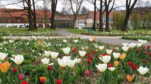 Graflicher Park Hotel Spa Jacqueline Van Der Kloet Erholung Bad Driburg Orte