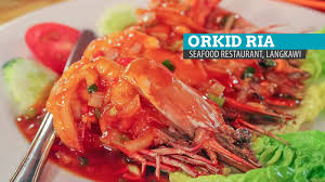 Wonderland food store comes highly recommended by the locals of langkawi who say it undoubtedly serves the best food on the island. Orkid Ria Seafood Restaurant Where To Eat In Langkawi Malaysia The Poor Traveler Itinerary Blog