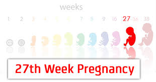 27th week pregnancy symptoms baby development and bodily