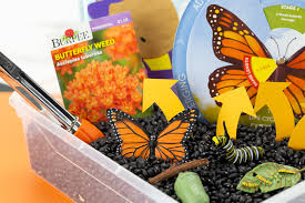 Sensory bins are an easy diy activity that will entertain and educate your active toddler. Life Cycle Of A Butterfly Activity Fireflies And Mud Pies