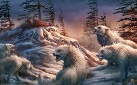 You can see a sample here. 1000 Best Wolf Mac Wallpapers Free Hd Download Allmacwallpaper