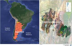 El límite con la superficie sembrada, la frontera con bolivia. General Features Of Serranias De Zapla Multiple Use Ecology Reserve Springerlink
