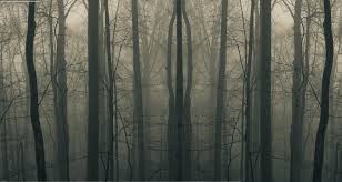 Find images of creepy woods. Free Download Creepy Forest Wallpaper Images Pictures Becuo 1920x1024 For Your Desktop Mobile Tablet Explore 46 Creepy Forest Wallpaper Spooky Forest Wallpaper Dark Forest Hd Wallpaper Creepy Wallpapers Hd