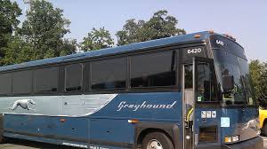 Well, for starters, pomeranians can have lots of fur! Greyhound Lines Change Org
