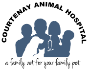 Beware of island pet resort they tell you what you are wanting to hear.and if you complain or make a bad review about them to warn people the owner tries to remove the bad reviews talk to your vet they will tell you about them they have had several dog fights several dogs coming down with kennel cough. Veterinarian In Merritt Island Fl Courtenay Animal Hospital