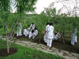 Herbal Garden
