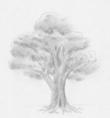 Zeichnen Lernen Baum Laubbaum Blatter Stamm Blattwerk Tutorial In 2020 Landscape Drawings Abstract Artwork Art