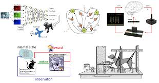 Comp 150 Reinforcement Learning