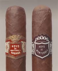 Bildergebnis für Andrea Robbins