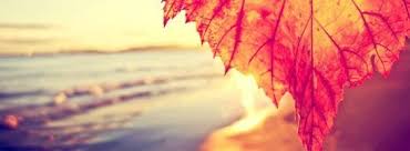 autumn leaf and the beach facebook cover fall cover photos facebook cover photos fall facebook cover