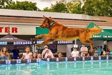Benson’s Pet Center DockDogs Event