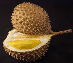 81 likes · 51 talking about this. Biology Durian Handwiki