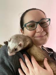 Lost Cat in Susquehanna Neighborhood, Independence Missouri