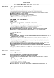 Oct 29, 2020 · teamwork skills in the workplace are essential for the vast majority of jobs. Rn Per Diem Resume Samples Velvet Jobs