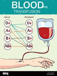 Image result for Blood Transfusion