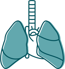 During this procedure, the lining of the lung (pleura) is . Pleural Mesothelioma Symptoms Stages Prognosis More