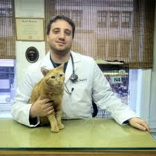 TOP 10 BEST Animal Hospital near Co-op City, Bronx, NY
