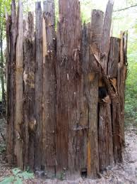 We have had enough experience building and hunting from box stand deer blinds to know which parts deteriorate first (so it can now be avoided), to what items. How To Build The Perfect Deer Hunting Ground Blind