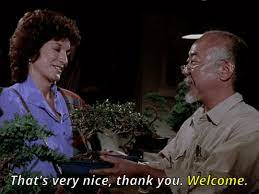 Share the best gifs now >>> Don T Ever Try To Refuse A Gift From Mr Miyagi