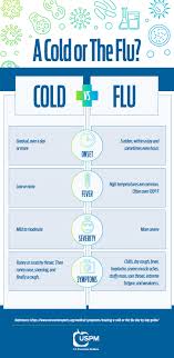 The Difference Between A Cold And The Flu Uspm