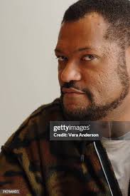 226 Bee Beard Stock Photos, High-Res Pictures, and Images