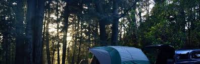 Van damme state park consists of about 1,831 acres (7.41 km2) of land in mendocino county, california, near the town of little river on state route 1. Van Damme Campground Van Damme Ca 11 Hipcamper Reviews And 26 Photos