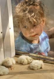 Daily Published Photos: Sept. 15, 2007