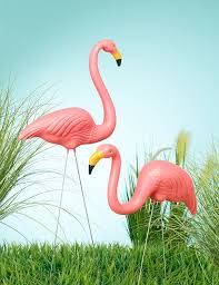 1001 Ideen Und Bilder Zum Thema Flamingo Deko Dekoration Flamingo Decor Flamingo Decor