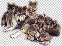 Browse and download hd wolves png images with transparent background for free. Dog Puppy Coyote Pack Indian Wolf Png Clipart Animal Animals Arctic Wolf Aullido Black Wolf Free