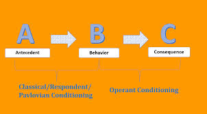 The Three Term Contingency Watson S Explanation Of The Stimulus Response Contingency Contr Operant Conditioning Behavior Modification Behavior Consequences