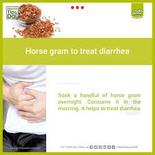 horse gram to treat diarrhea health tips health online basket